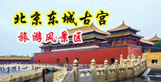 內射騒逼网中国北京-东城古宫旅游风景区